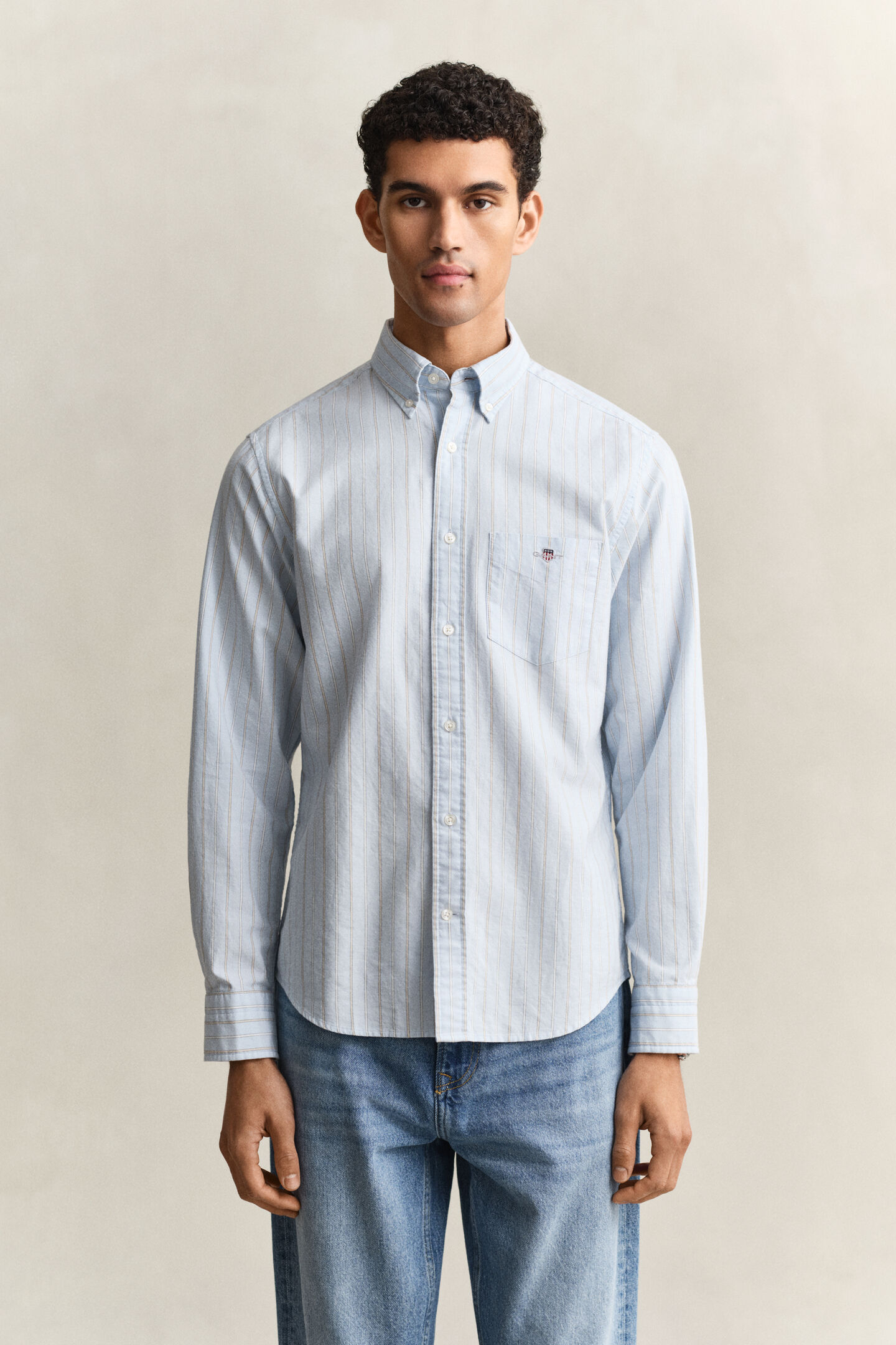 Striped Classic Oxford Shirt
