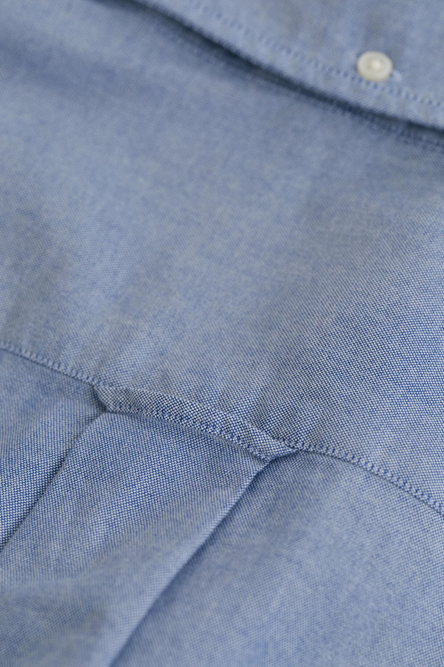 Regular Fit Classic Oxford Shirt